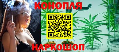 шишки Бузулук