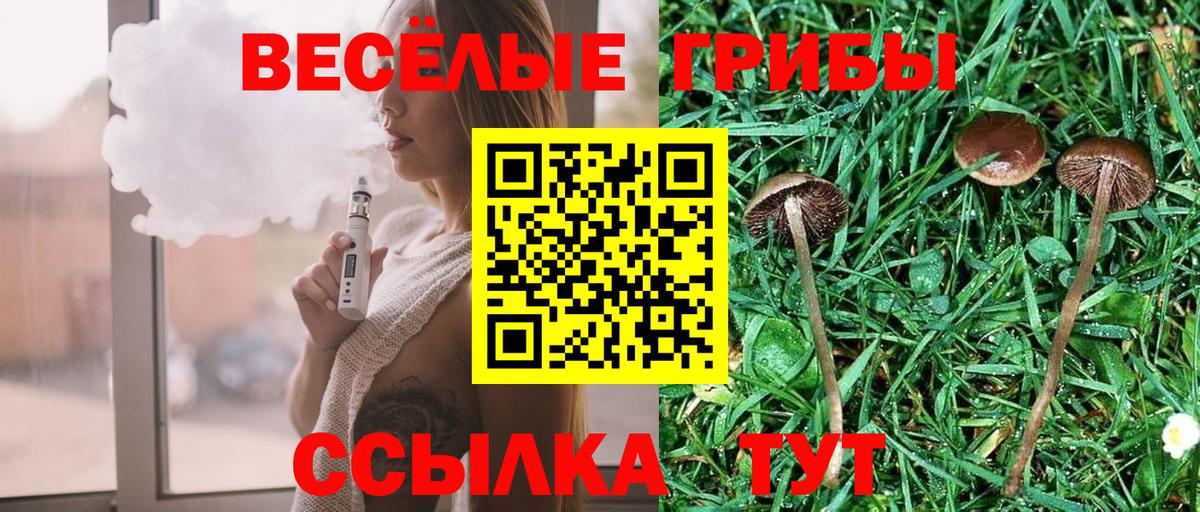 Галлюциногенные грибы Cubensis  Псилоцибиновые грибы Psilocybine cubensis  Маркс  Вход с VPN 